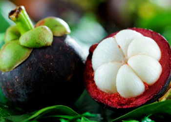 mangosteen