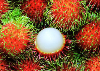 Rambutan